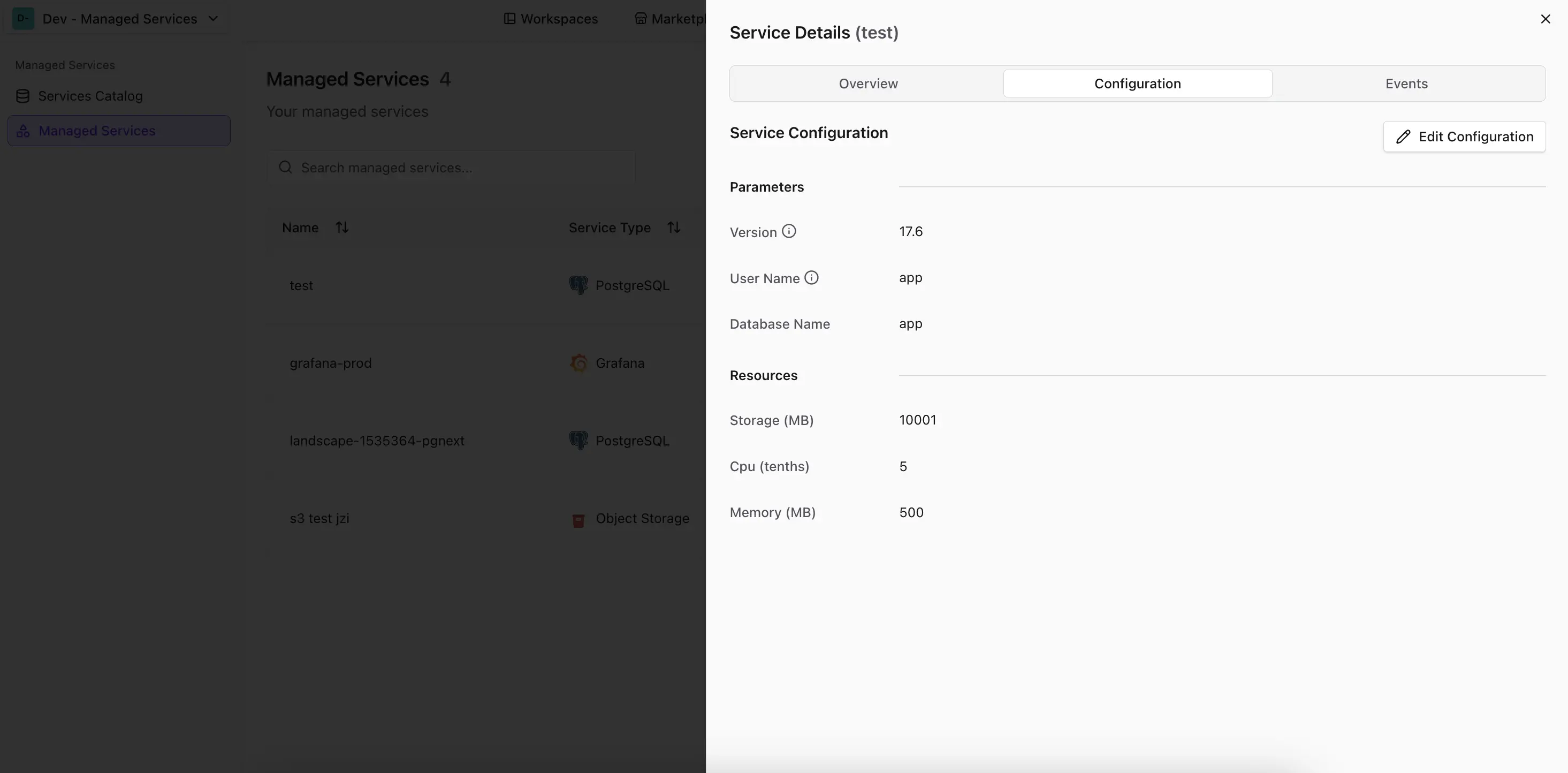 Config Schema in Service Settings